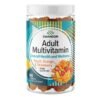 Adult Multivitamin 60 Goma